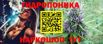 прущие крисы Берёзовский
