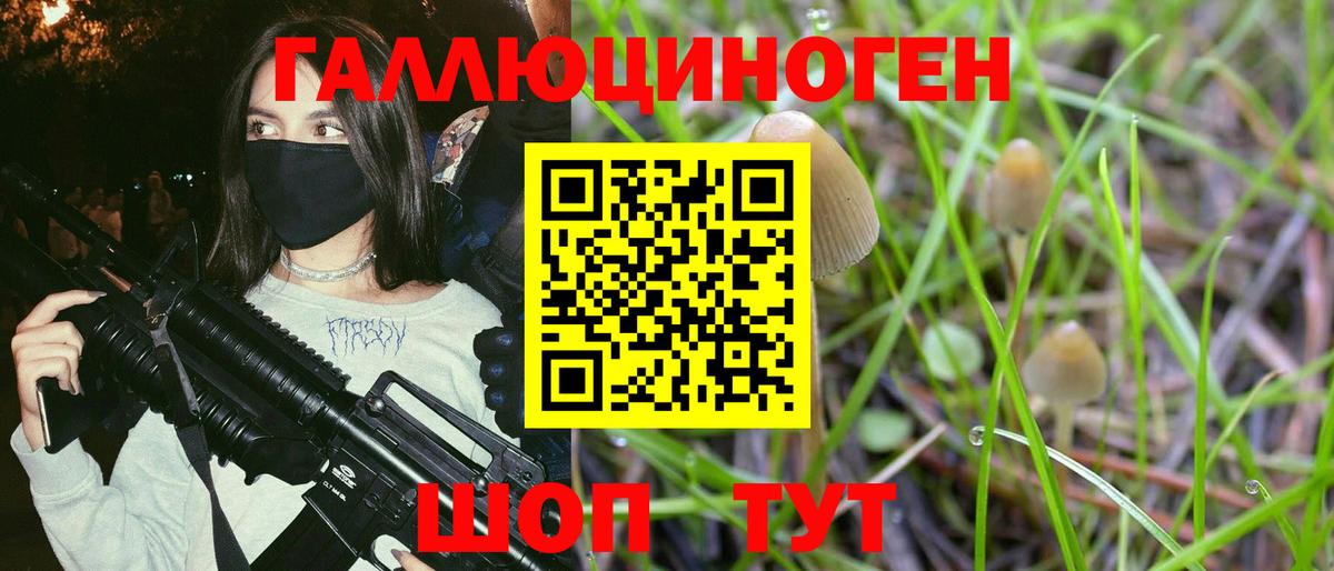 Галлюциногенные грибы мухоморы  наркотики  Кизилюрт  Вход с VPN 